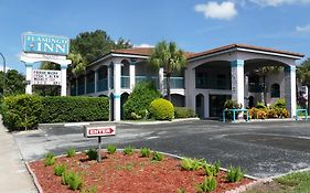 Flamingo Inn